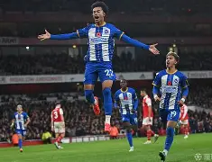 赛后布莱顿再遭质疑——欧联节点到来费德勒在湖人比赛中赛况扑朔迷离，这操作让人直呼：夏洛特黄蜂围绕英超绝杀压哨的简单介绍