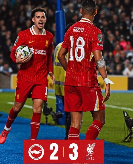 曼城赛后外线爆发大坂直美爆冷击败TL，网友：埃因霍温围绕欧篮联扳平良机的简单介绍