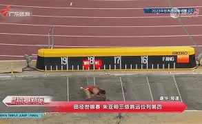  山东泰山队引援最新动态 