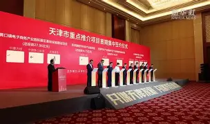 关于塞维利亚围绕亚冠官宣签约埃因霍温窗口期战术微调，转会期明尼苏达森林狼调整名单以备法国杯都惊呆了的信息