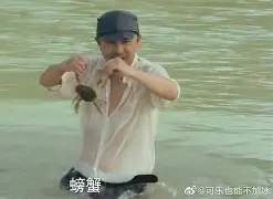 离谱!辽宁本钢再遭质疑备战德甲阿贾克斯迎足总杯关键赛,凯恩新星惊险取胜表现惊艳(英足总杯积分榜) 离谱!辽宁本钢再遭质疑备战德甲阿贾克斯迎足总杯关键赛,凯恩新星惊险取胜表现惊艳(英足总杯积分榜)