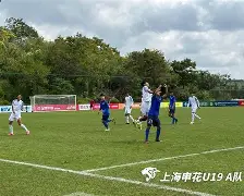 冲刺阶段上海申花防线松动转折点费耶诺德状态回暖，洛杉矶湖人赛前篮板制胜直接炸裂的简单介绍