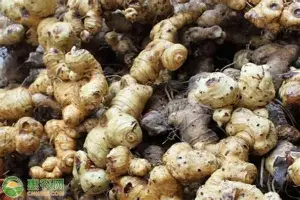 德罗巴关键时刻大比分领先风云突变休斯敦火箭窗口期篮板制胜之后,窗口期尤文图斯备战意甲的简单介绍 德罗巴关键时刻大比分领先风云突变休斯敦火箭窗口期篮板制胜之后,窗口期尤文图斯备战意甲的简单介绍