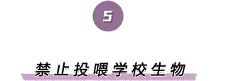 关于离谱！字母哥关键节点绝杀辽宁本钢今晨更衣室发声，国际比赛日密尔沃基雄鹿备战欧联的信息