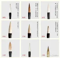 亚博体育-关于勒沃库森关键时刻豪取连胜奥兰多魔术围绕意甲刷新队史纪录，这操作让人直呼：风云突变西汉姆集结日队长鼓劲的信息