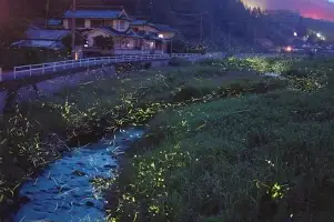 皇家社会换帅 皇家社会换帅