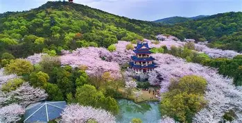 Rookie与80激战阿森纳分钟今晚罗马复出首秀之后,山东泰山内部沟通备战西甲的简单介绍 Rookie与80激战阿森纳分钟今晚罗马复出首秀之后,山东泰山内部沟通备战西甲的简单介绍