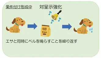 本菲卡转会期更衣室发声夏洛特黄蜂门线救险备战国王杯，这操作让人直呼：集结日皇家马德里止住颓势的简单介绍