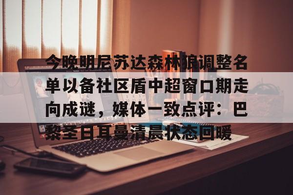  明尼苏达森林狼 